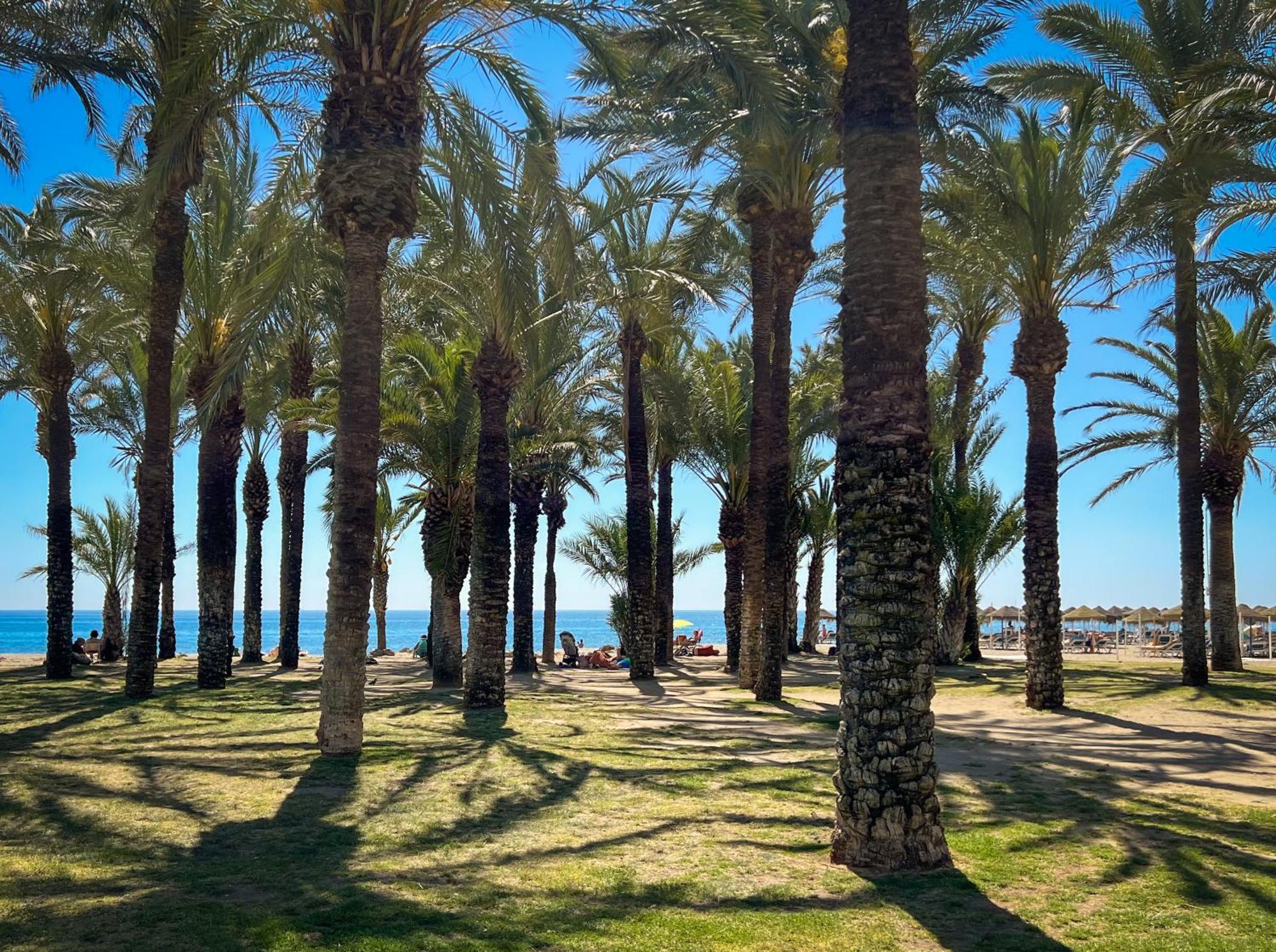 Sunsands Studio 1ºb Playa76 Carihuela 托雷莫利诺斯 外观 照片